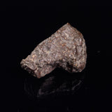 NWA RUMURUTI-TYPE METEORITE, North West Africa XRM009