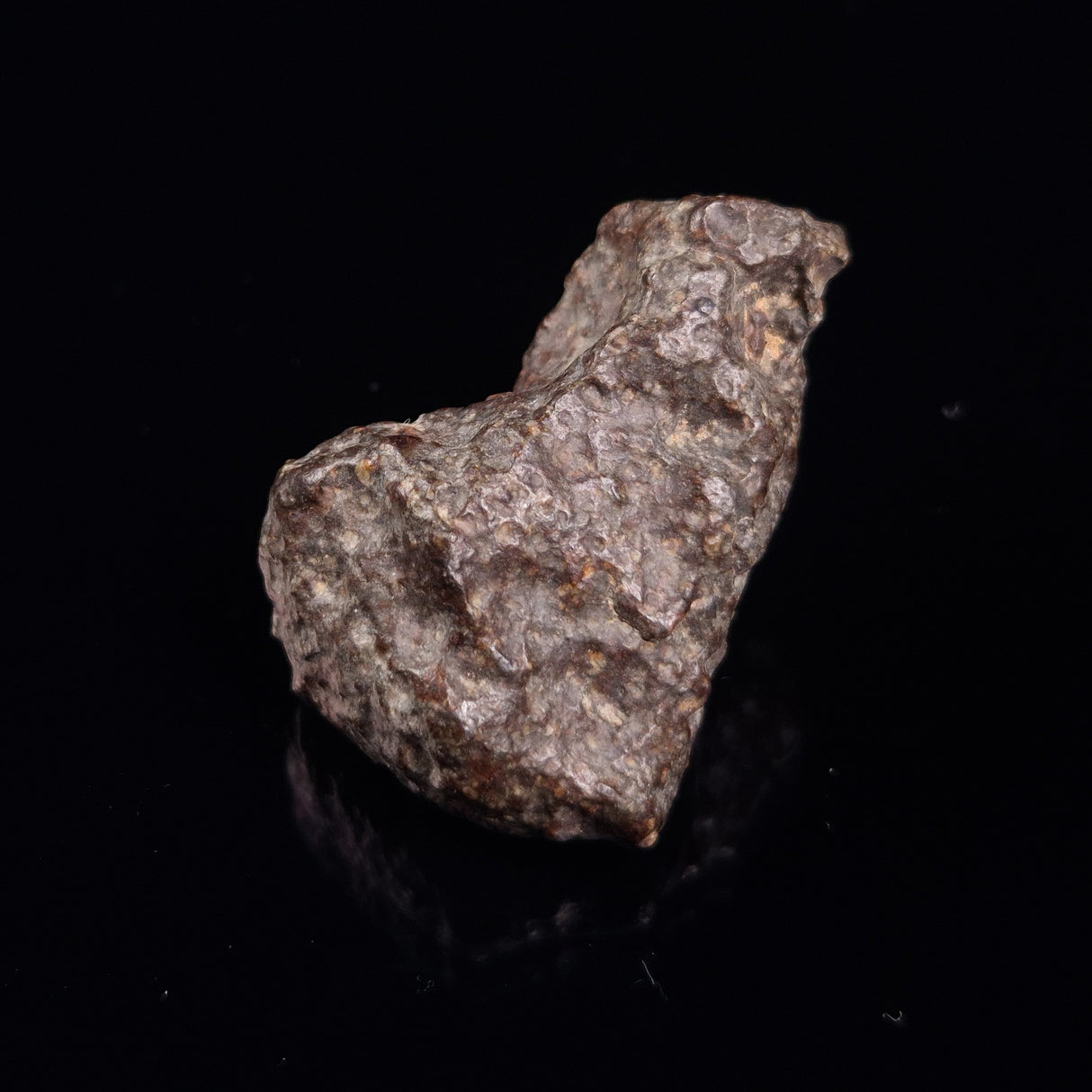 NWA RUMURUTI-TYPE METEORITE, North West Africa XRM009