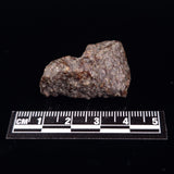 NWA RUMURUTI-TYPE METEORITE, North West Africa XRM009