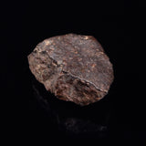 NWA RUMURUTI-TYPE METEORITE, North West Africa XRM010