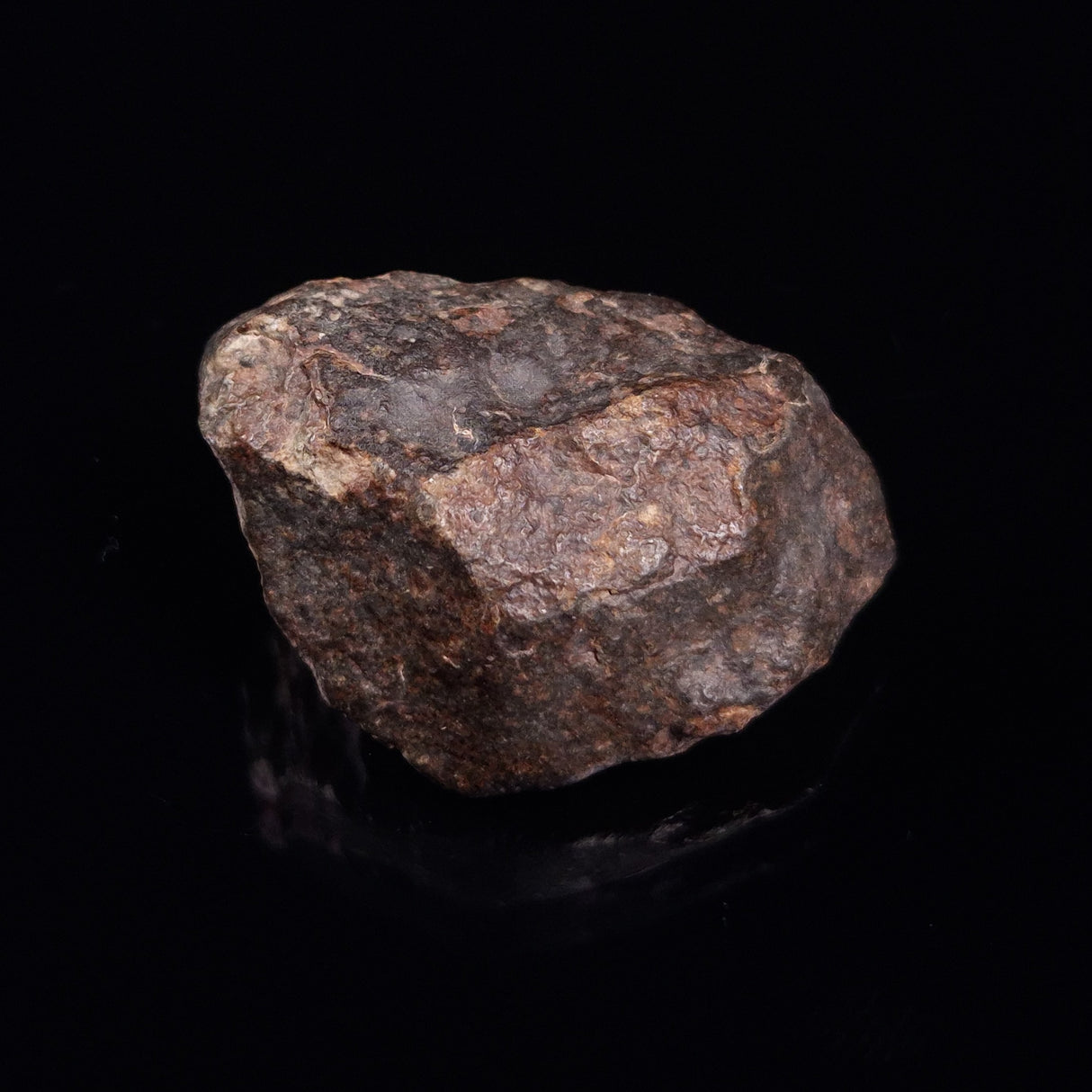 NWA RUMURUTI-TYPE METEORITE, North West Africa XRM010