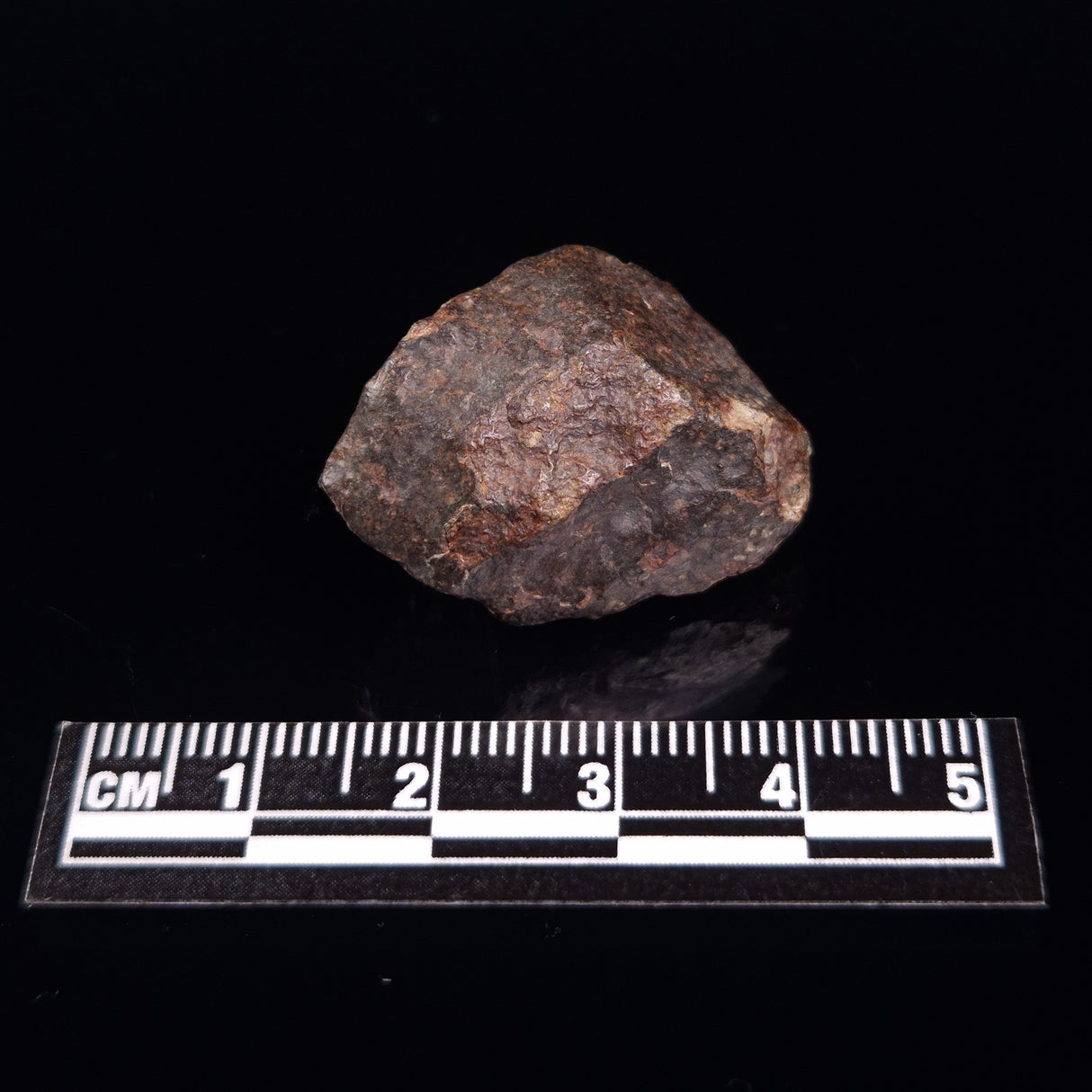 NWA RUMURUTI-TYPE METEORITE, North West Africa XRM010