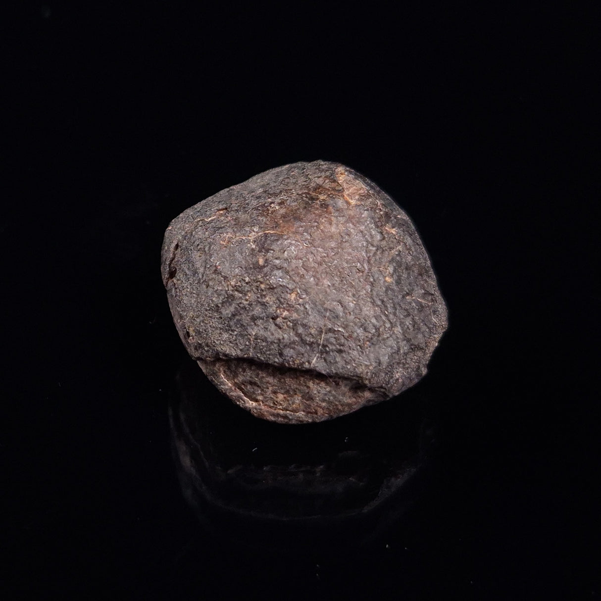 NWA RUMURUTI-TYPE METEORITE, North West Africa XRM011