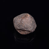 NWA RUMURUTI-TYPE METEORITE, North West Africa XRM011