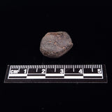 NWA RUMURUTI-TYPE METEORITE, North West Africa XRM011