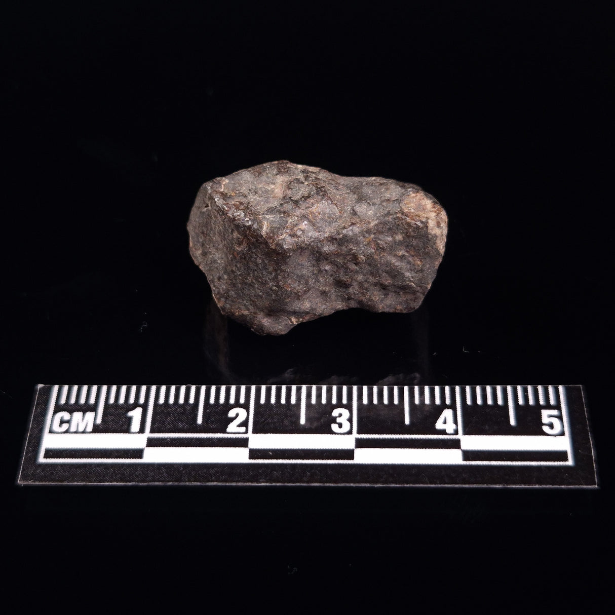 NWA RUMURUTI-TYPE METEORITE, North West Africa XRM012