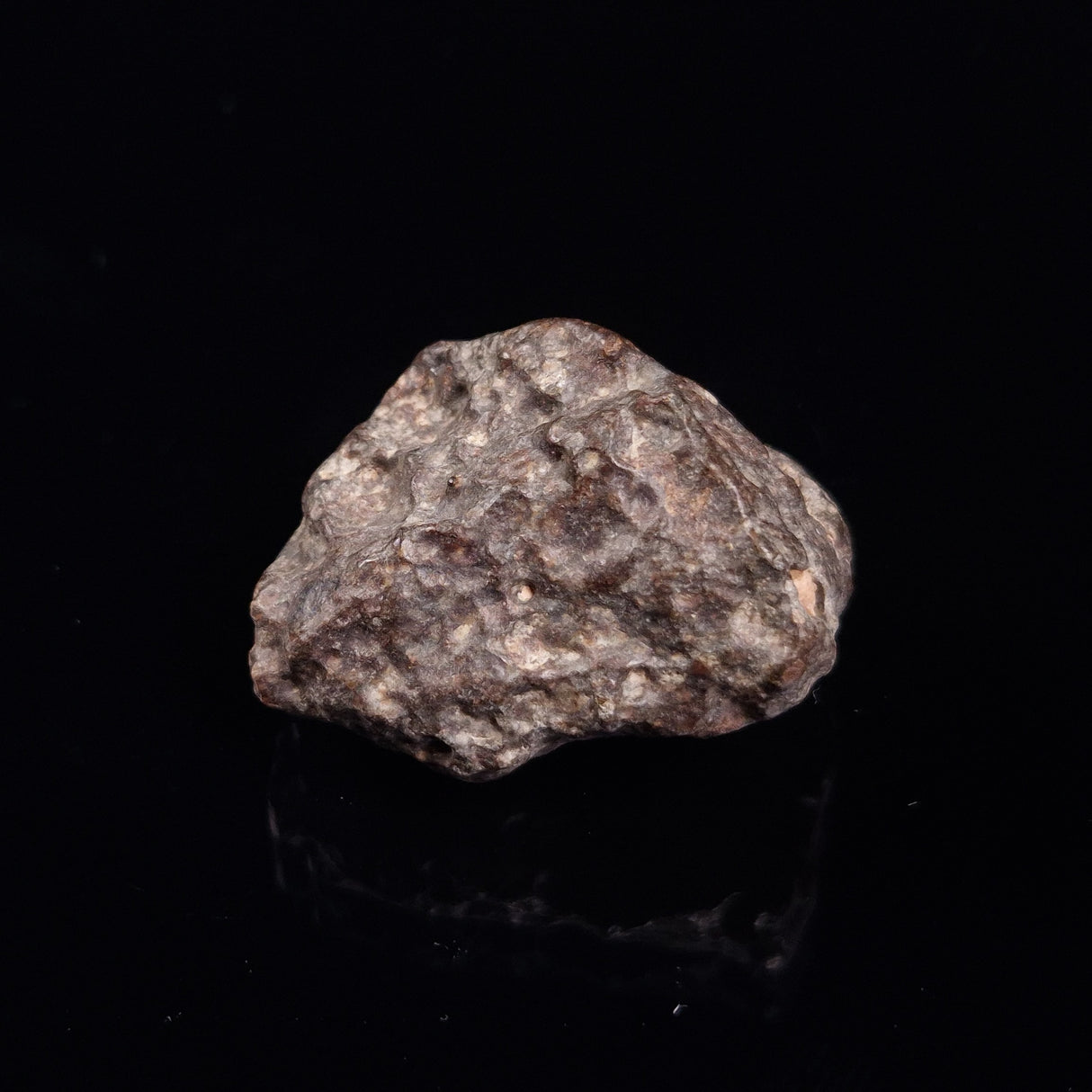 NWA RUMURUTI-TYPE METEORITE, North West Africa XRM013