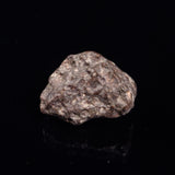 NWA RUMURUTI-TYPE METEORITE, North West Africa XRM013