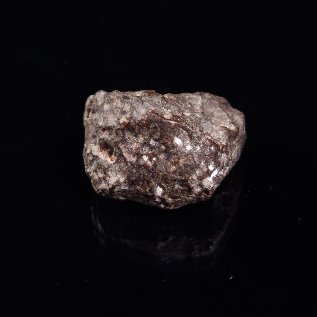 NWA RUMURUTI-TYPE METEORITE, North West Africa XRM013