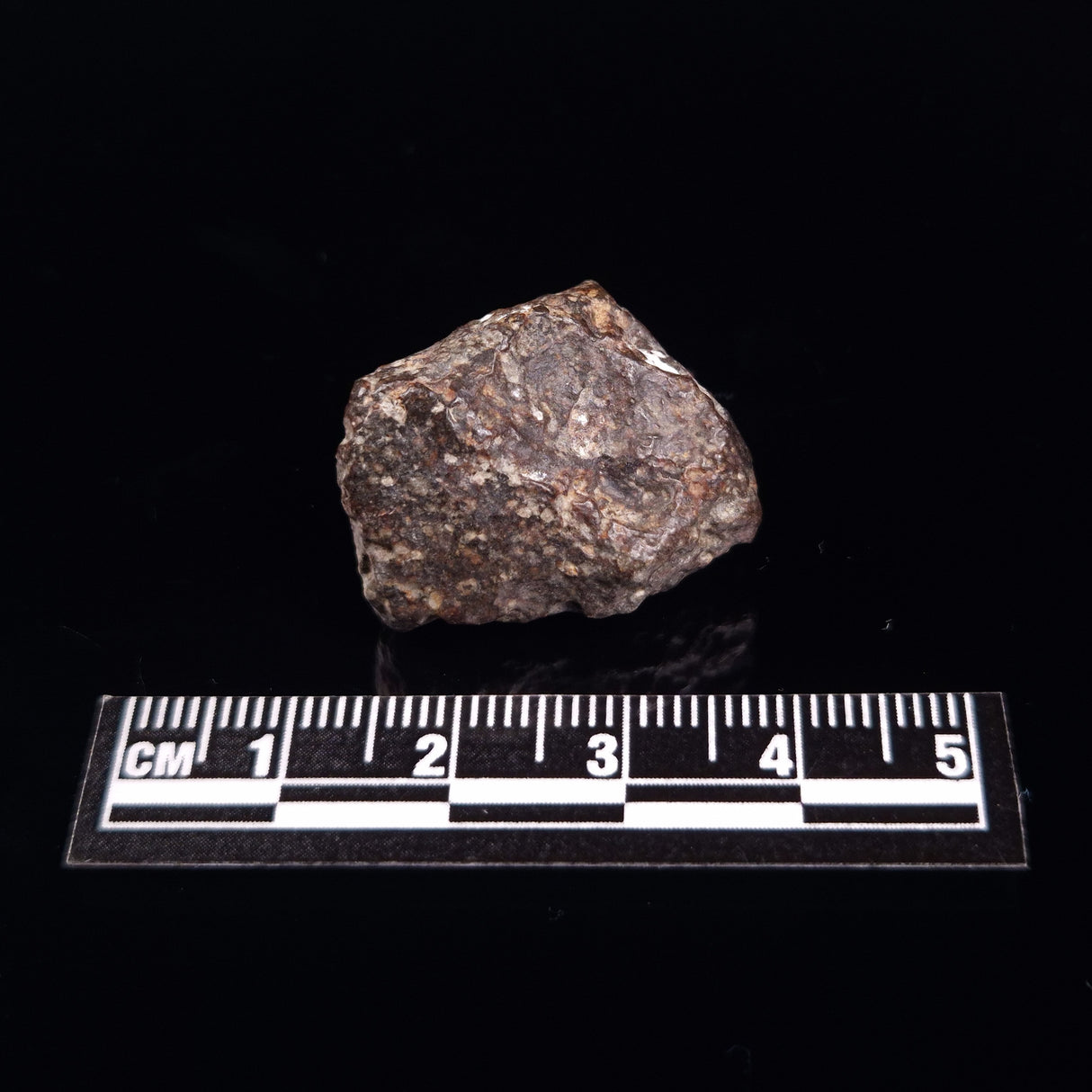 NWA RUMURUTI-TYPE METEORITE, North West Africa XRM013