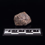 NWA RUMURUTI-TYPE METEORITE, North West Africa XRM013
