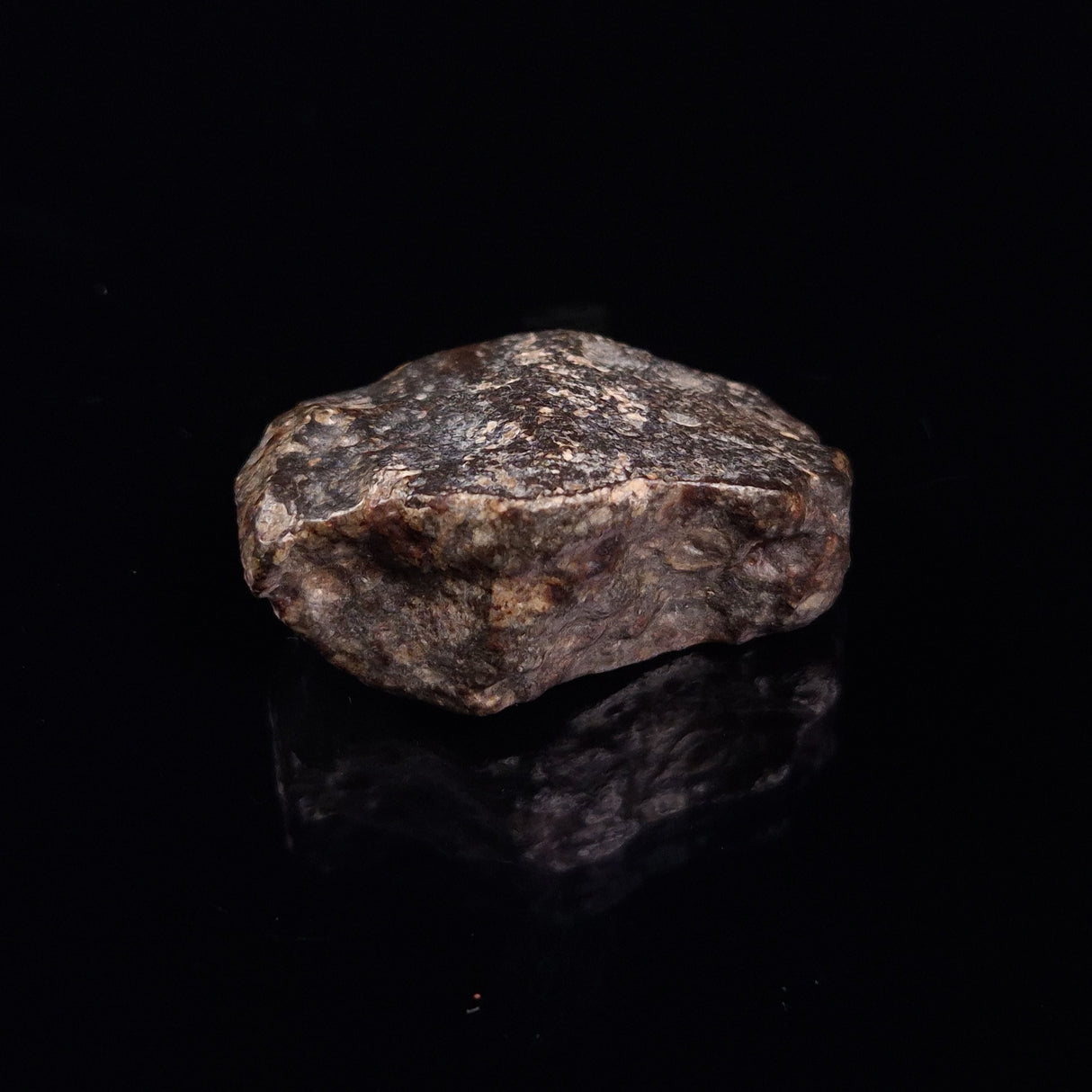 NWA RUMURUTI-TYPE METEORITE, North West Africa XRM014