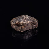 NWA RUMURUTI-TYPE METEORITE, North West Africa XRM014