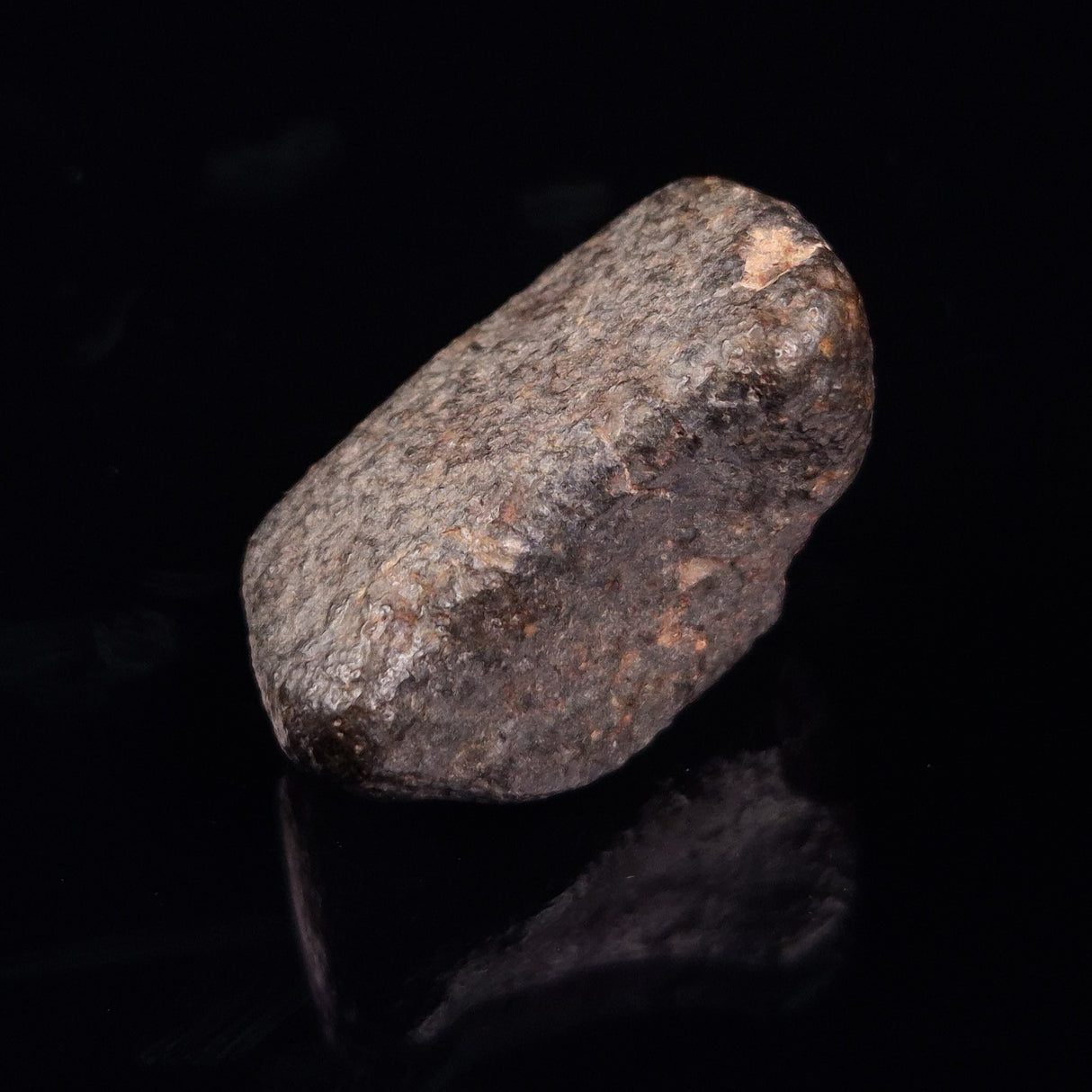 NWA RUMURUTI-TYPE METEORITE, North West Africa XRM015