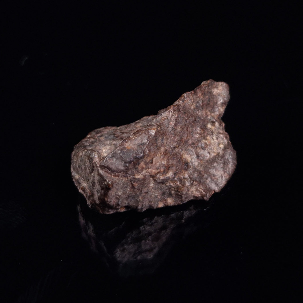 NWA RUMURUTI-TYPE METEORITE, North West Africa XRM016