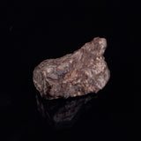 NWA RUMURUTI-TYPE METEORITE, North West Africa XRM016