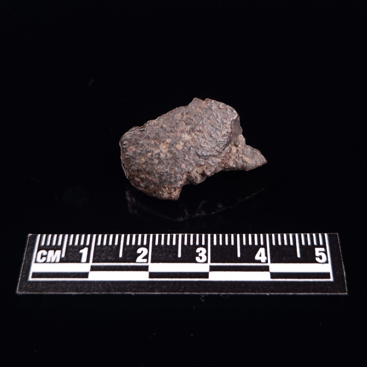 NWA RUMURUTI-TYPE METEORITE, North West Africa XRM016
