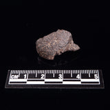 NWA RUMURUTI-TYPE METEORITE, North West Africa XRM016