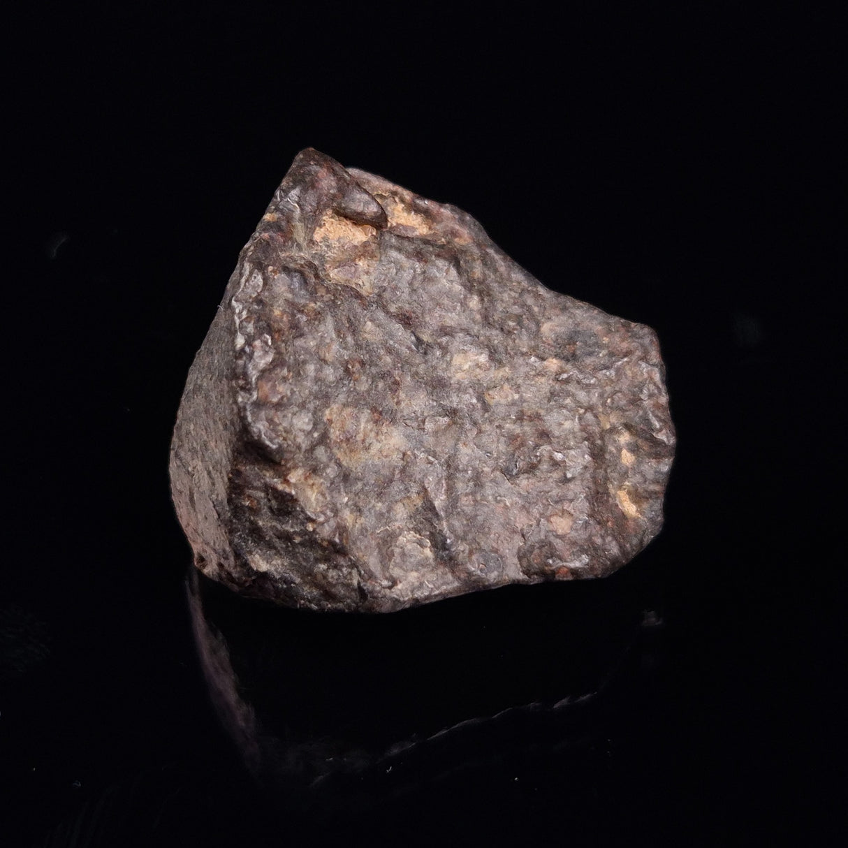 NWA RUMURUTI-TYPE METEORITE, North West Africa XRM017