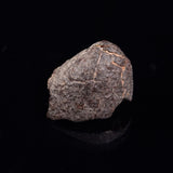 NWA RUMURUTI-TYPE METEORITE, North West Africa XRM018