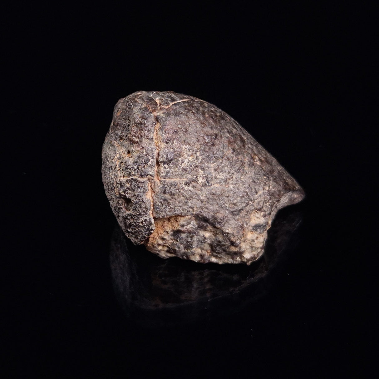 NWA RUMURUTI-TYPE METEORITE, North West Africa XRM018