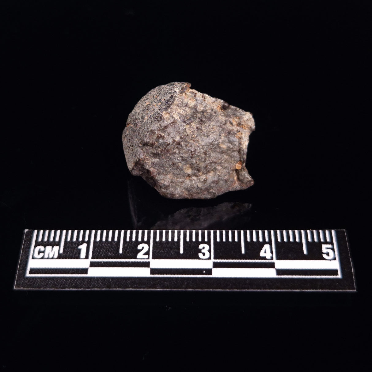 NWA RUMURUTI-TYPE METEORITE, North West Africa XRM018
