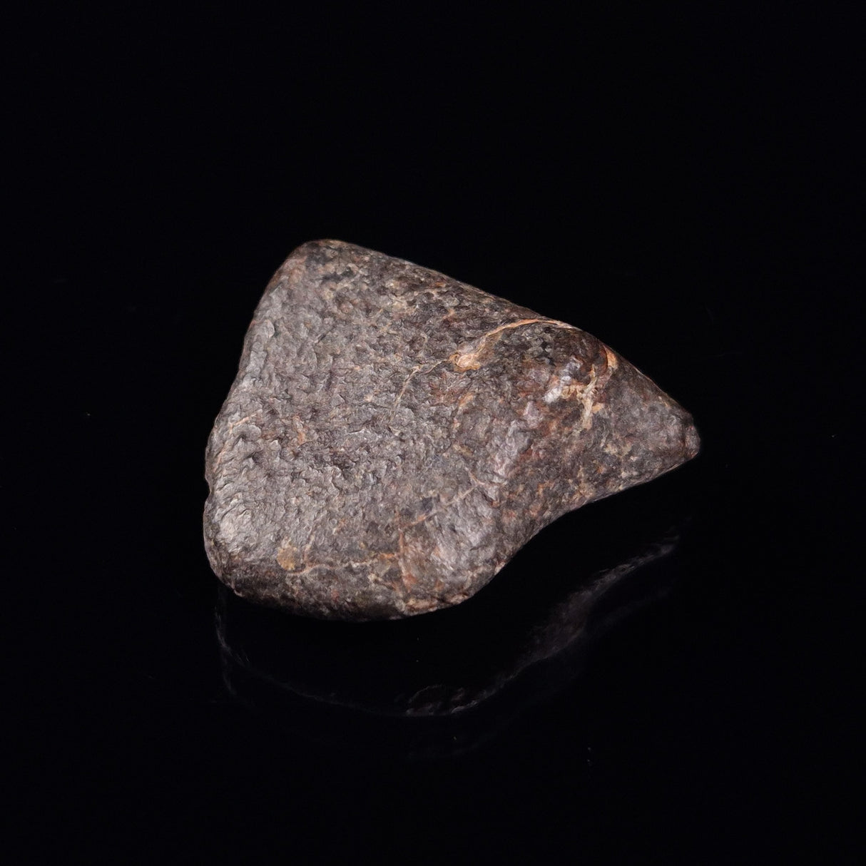 NWA RUMURUTI-TYPE METEORITE, North West Africa XRM019