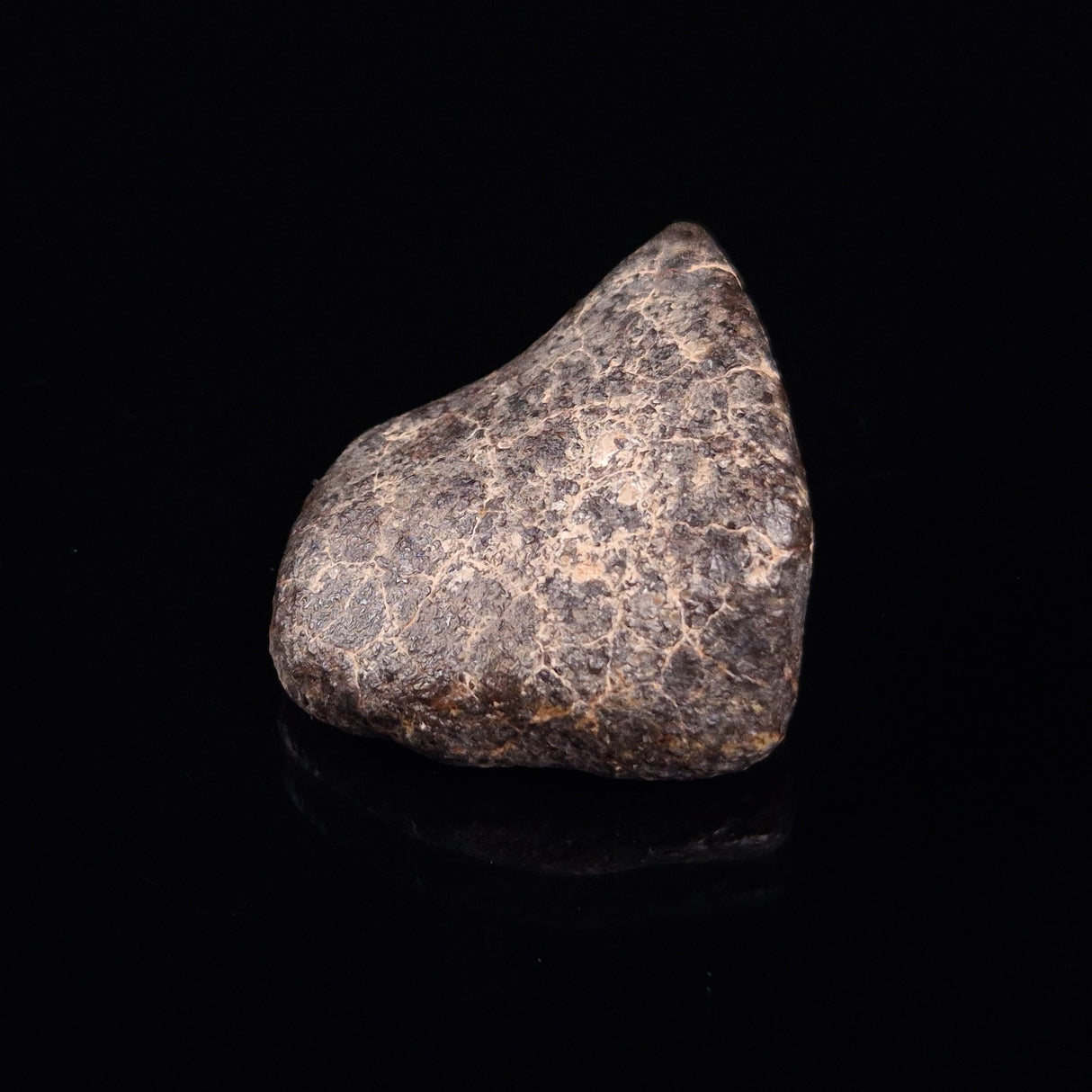 NWA RUMURUTI-TYPE METEORITE, North West Africa XRM019