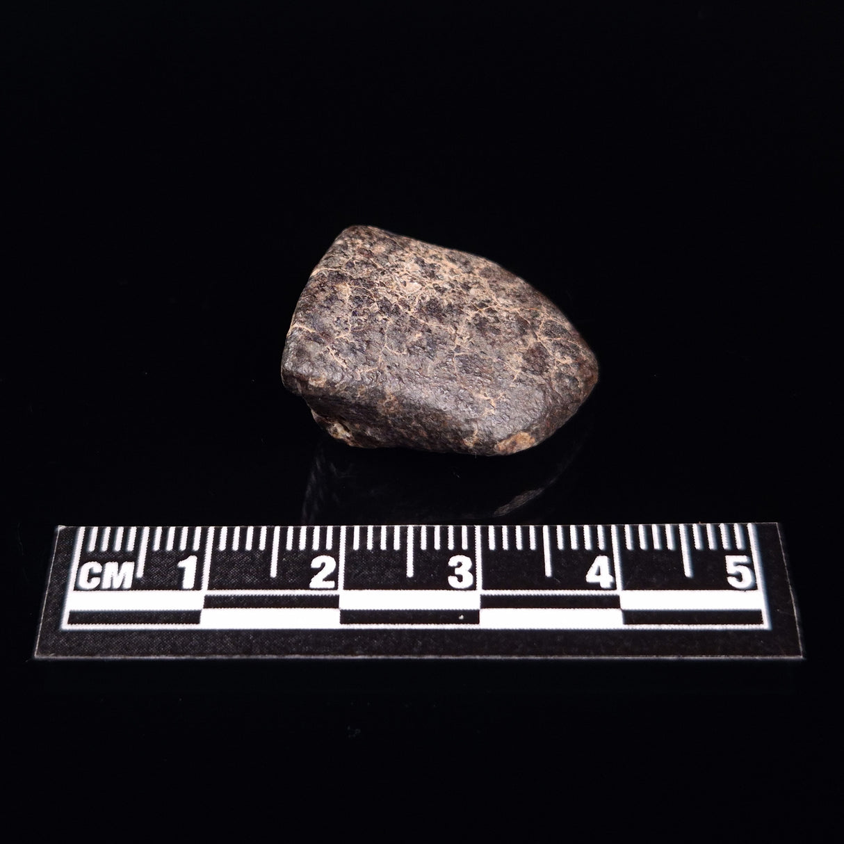 NWA RUMURUTI-TYPE METEORITE, North West Africa XRM019