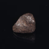 MUNDRABILLA METEORITE, Western Australia XMM001