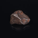 MUNDRABILLA METEORITE, Western Australia XMM002