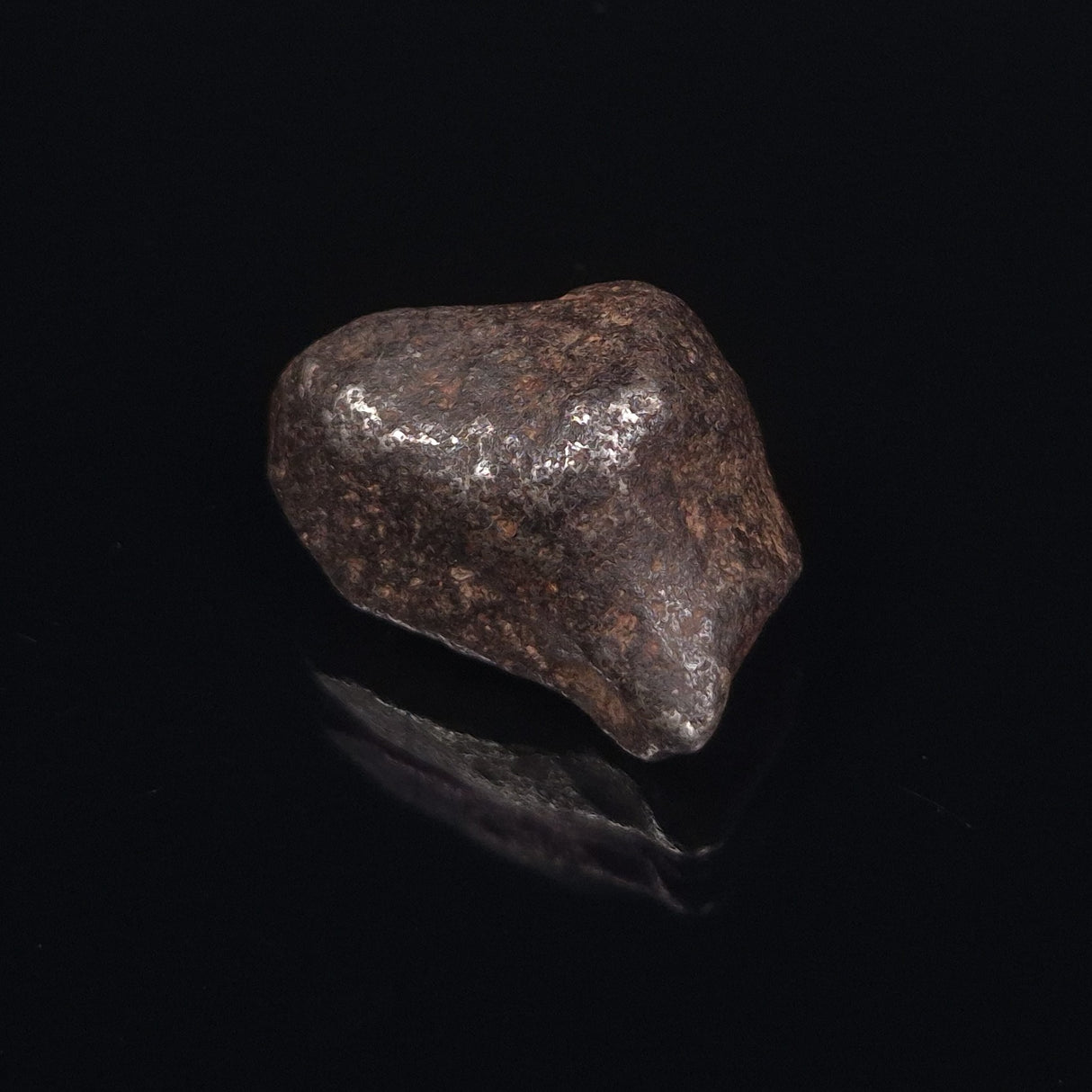 MUNDRABILLA METEORITE, Western Australia XMM002