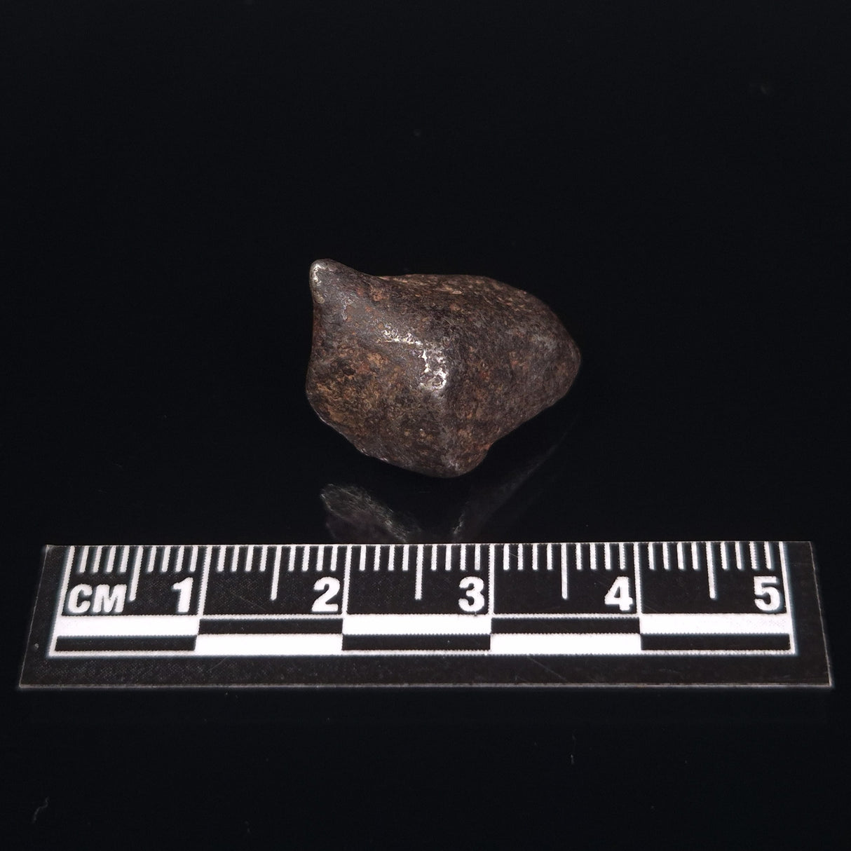 MUNDRABILLA METEORITE, Western Australia XMM002
