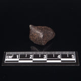 MUNDRABILLA METEORITE, Western Australia XMM002