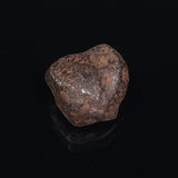 MUNDRABILLA METEORITE, Western Australia XMM005