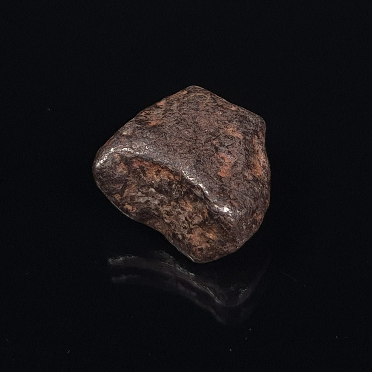 MUNDRABILLA METEORITE, Western Australia XMM005