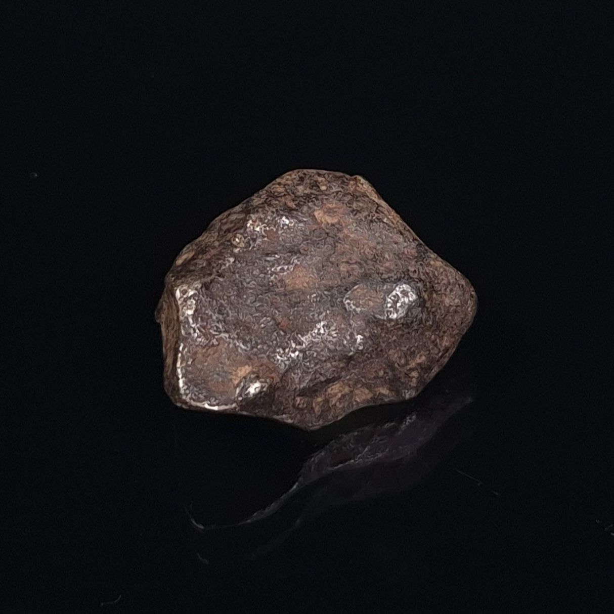 MUNDRABILLA METEORITE, Western Australia XMM006