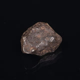 MUNDRABILLA METEORITE, Western Australia XMM006