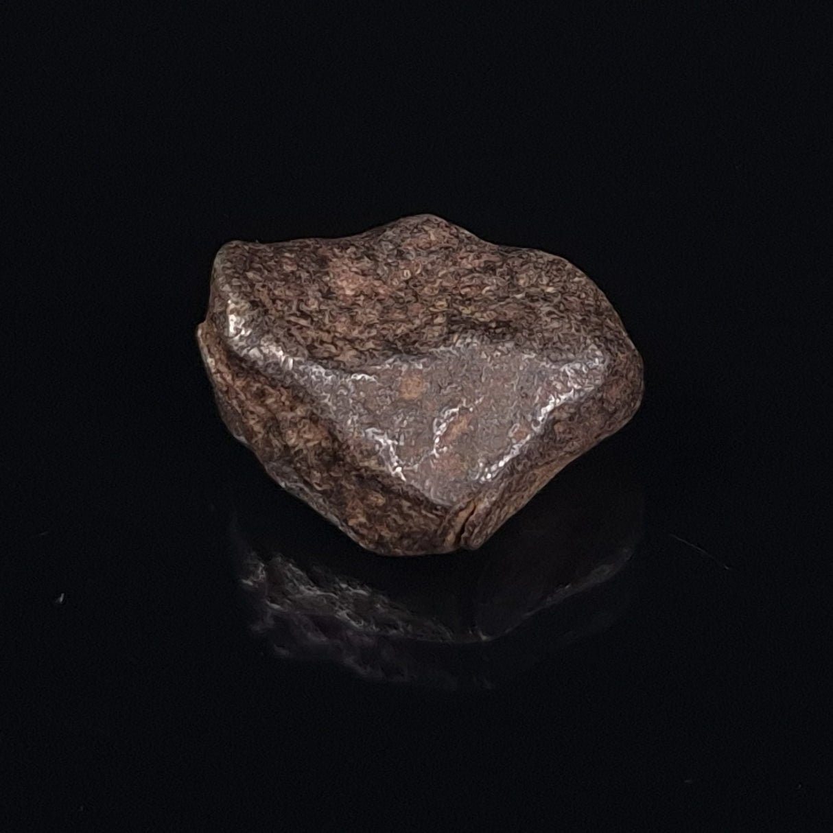 MUNDRABILLA METEORITE, Western Australia XMM006