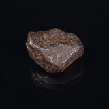 MUNDRABILLA METEORITE, Western Australia XMM006