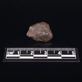 MUNDRABILLA METEORITE, Western Australia XMM006