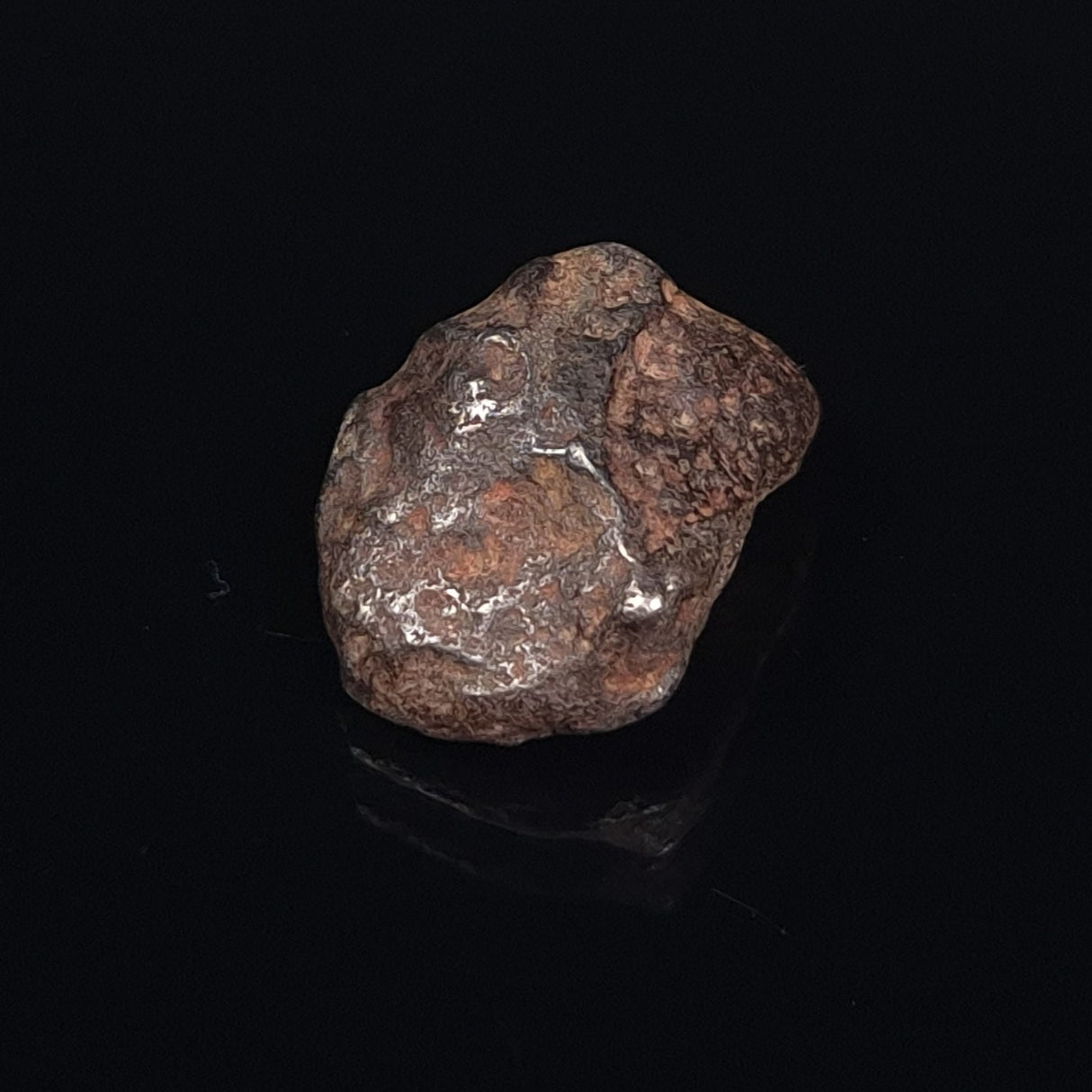 MUNDRABILLA METEORITE, Western Australia XMM007