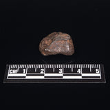 MUNDRABILLA METEORITE, Western Australia XMM007