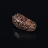 MUNDRABILLA METEORITE, Western Australia XMM008