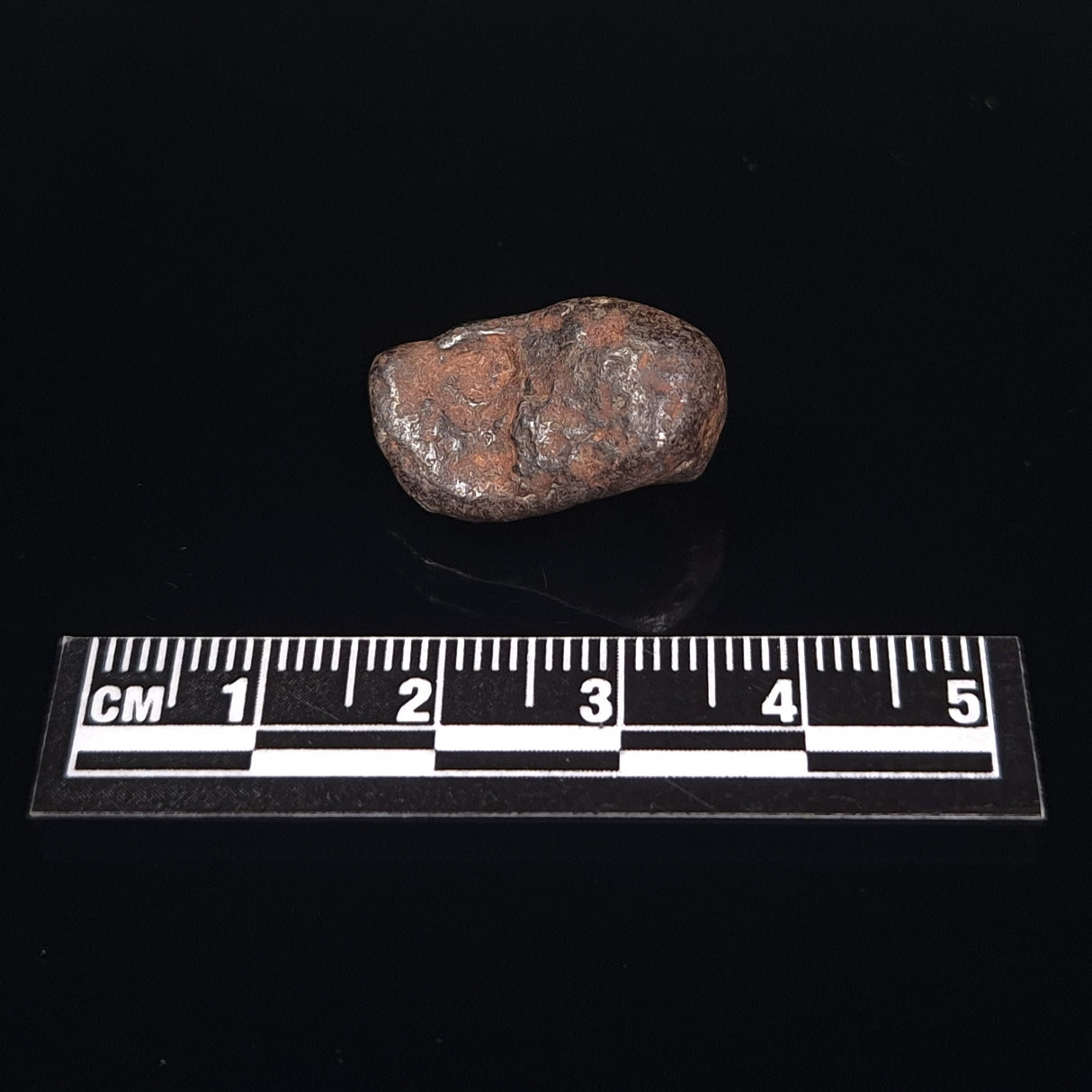 MUNDRABILLA METEORITE, Western Australia XMM008