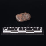 MUNDRABILLA METEORITE, Western Australia XMM008