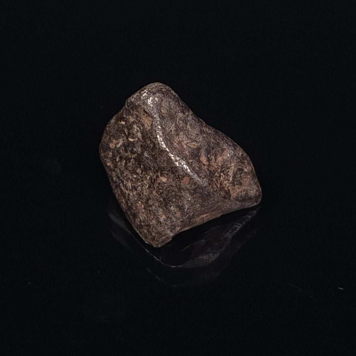 MUNDRABILLA METEORITE, Western Australia XMM009