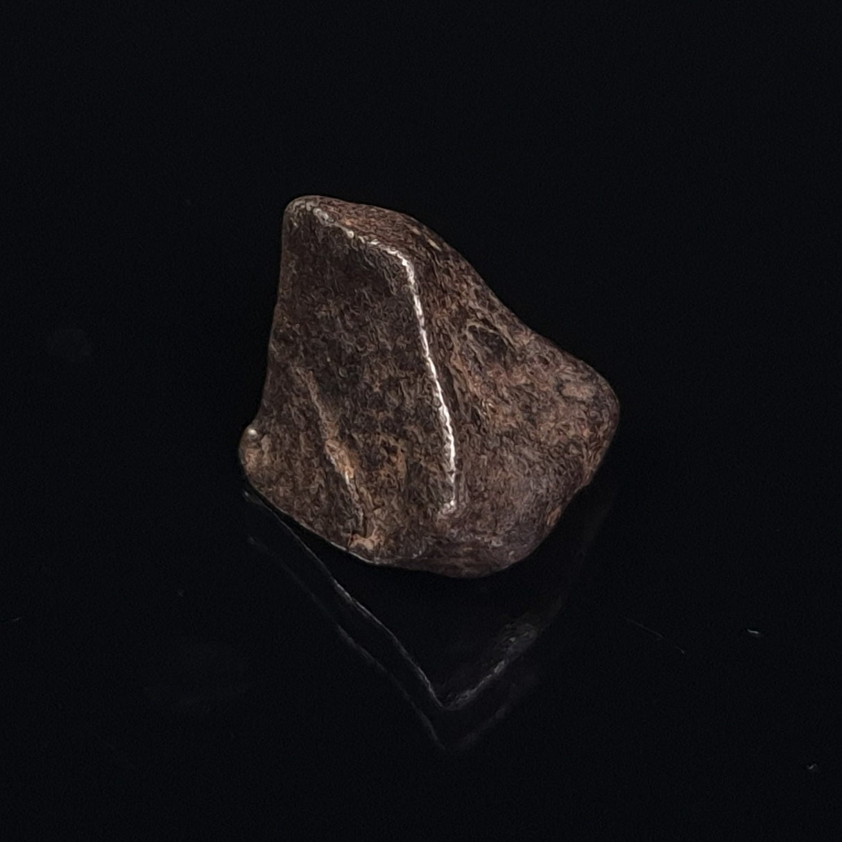 MUNDRABILLA METEORITE, Western Australia XMM009