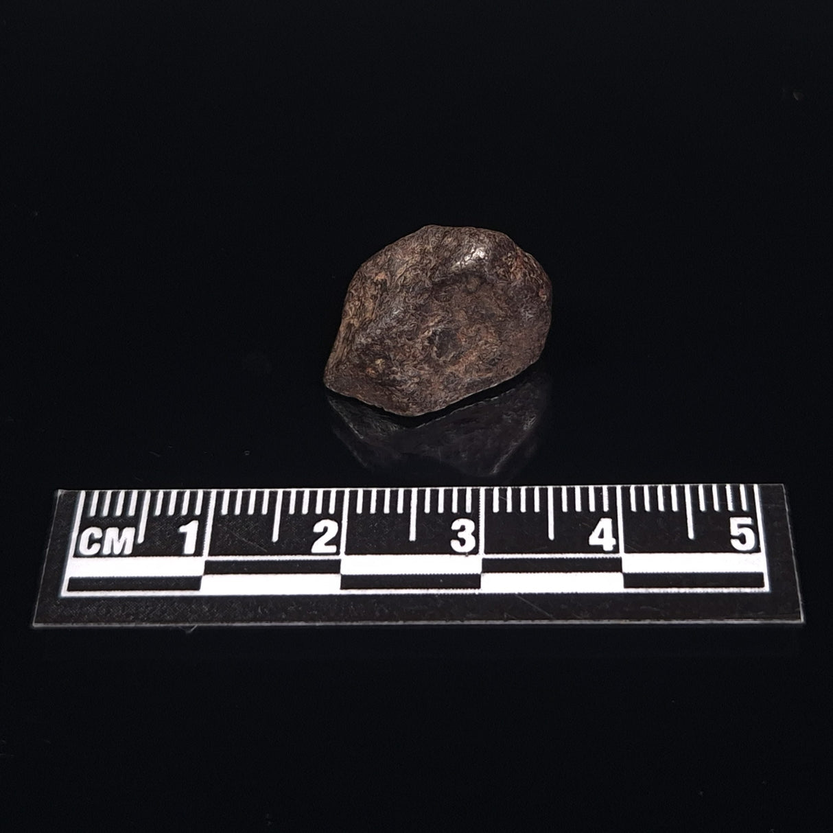 MUNDRABILLA METEORITE, Western Australia XMM009