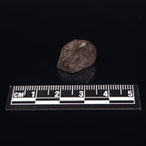 MUNDRABILLA METEORITE, Western Australia XMM009
